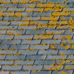 Is Roof Cleaning Really Necessary?