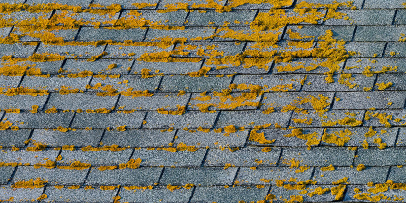 Is Roof Cleaning Really Necessary?