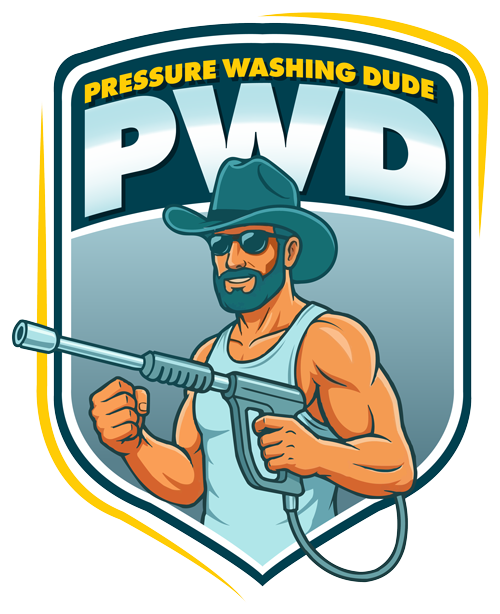 The Pressure Washing Dude